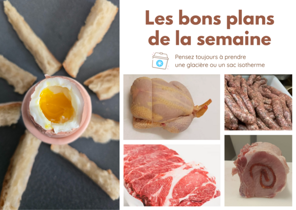 Les bons plans 