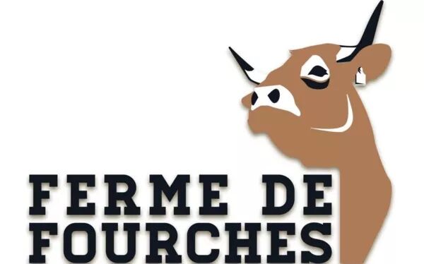 Émincé de boeuf Provence (500g)